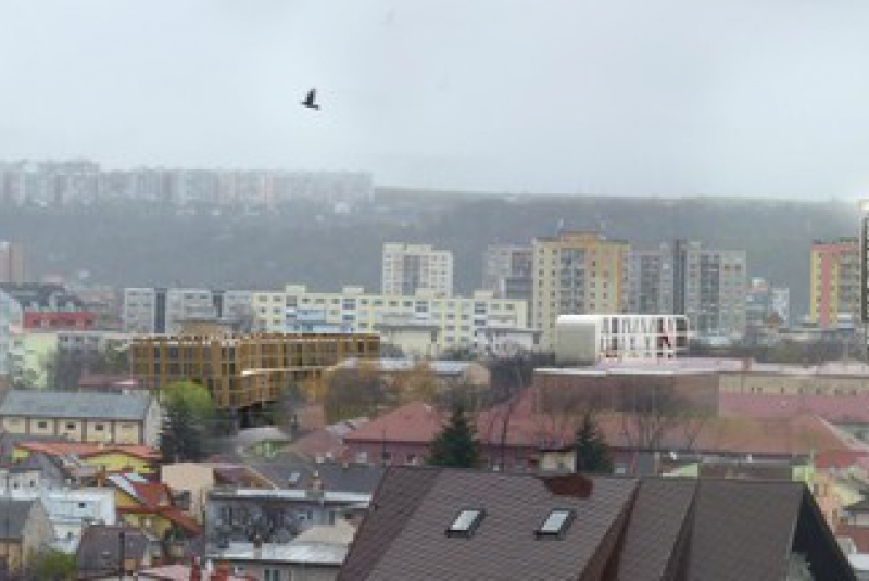 2011_Kulturpark